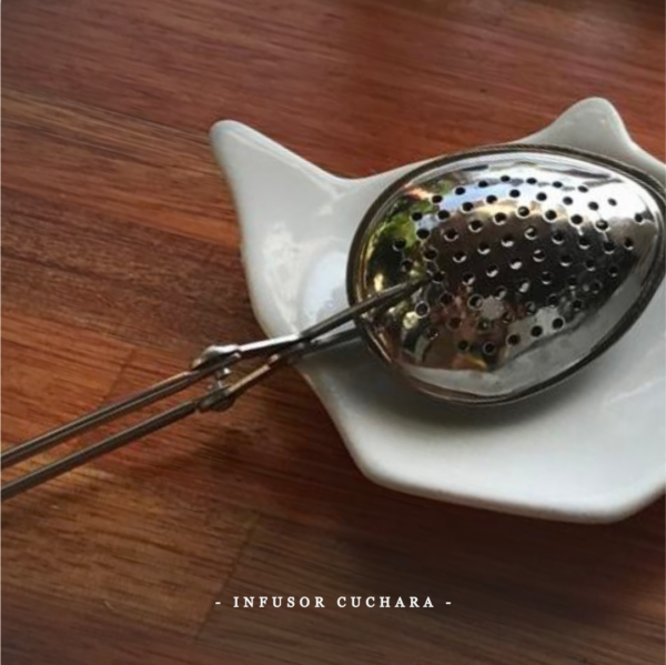 Infusores